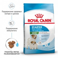   Royal Canin Mini Starter 1   